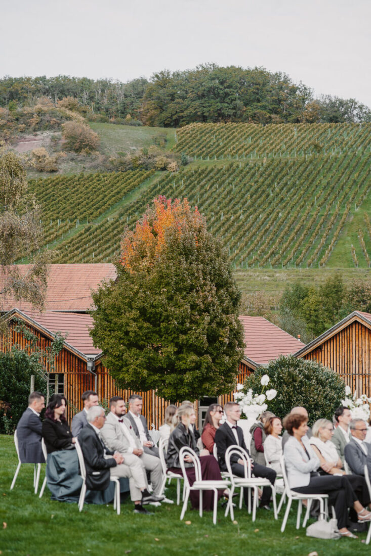Hochzeitsgesellschaft vor der Kulisse der Weinberge am Steinbachhof in Vaihingen an der Enz.